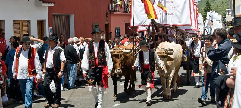 Fajin romería