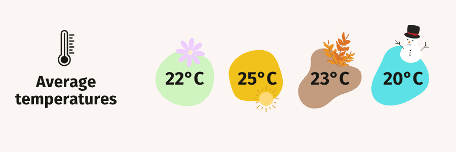 Average temperatures in Tenerife