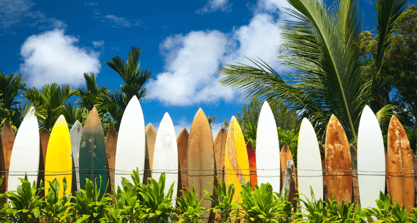 Playa de las Conchas, Tenerife. Not Daring to Surf, but a Daring